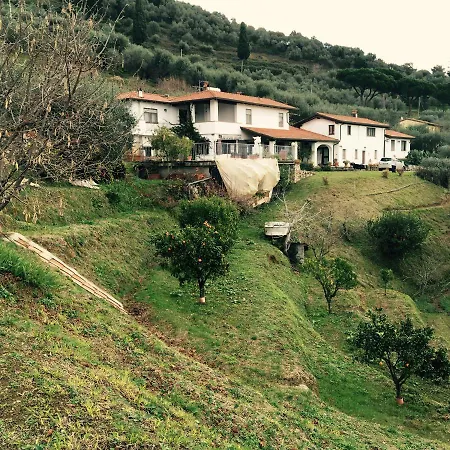 Le Celafie Centrale Apartamento Camaiore